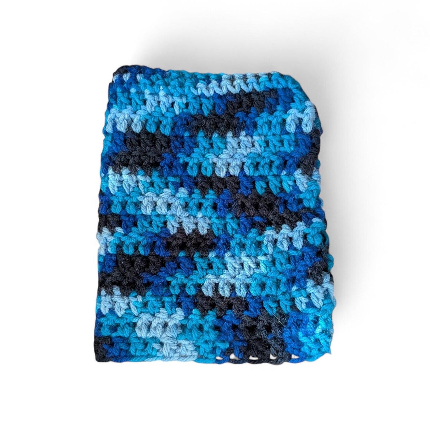Variegated Blue Cat Ear Beanie